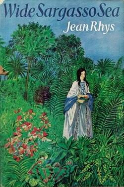 Wide Sargasso Sea book cover