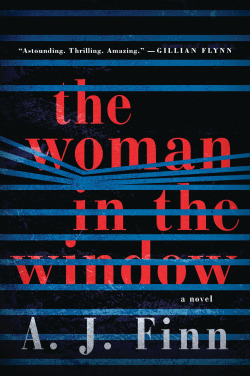 Woman in the Window book cover