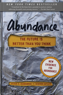 Abundance book cover