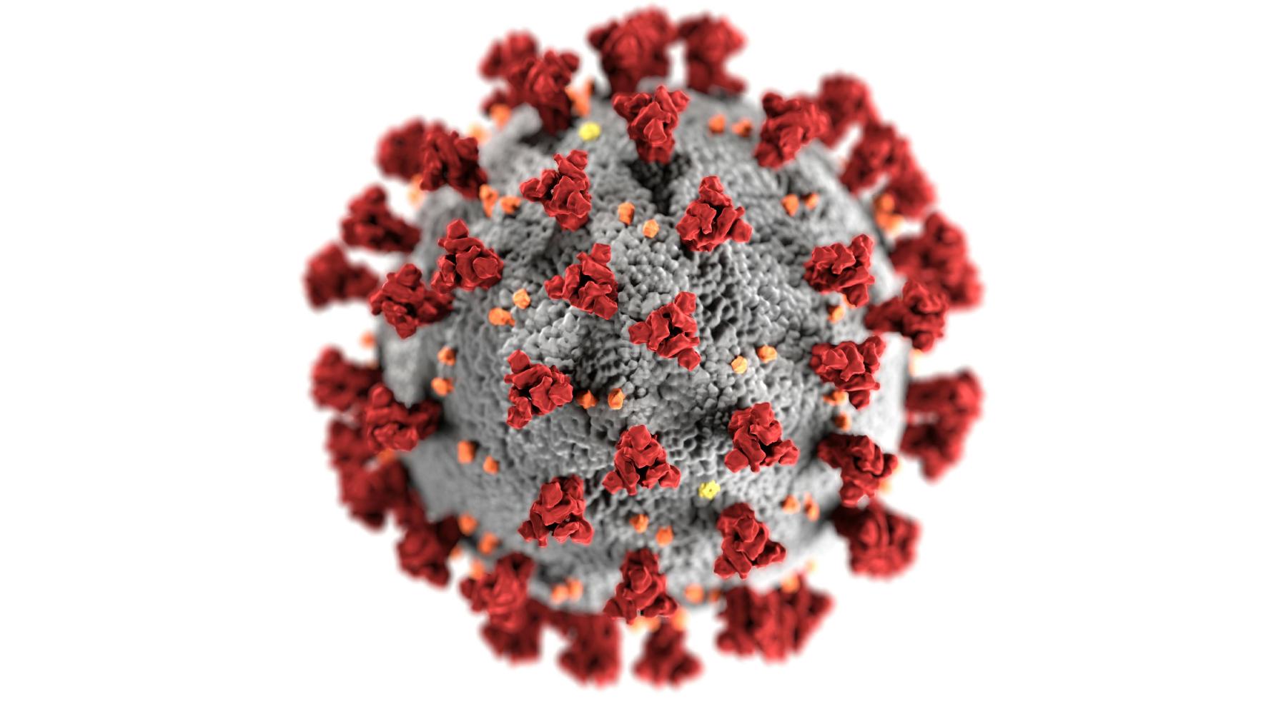 Illustration of a Corona virus